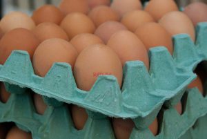waarom-eten-vegans-geen-eieren