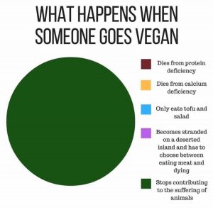 wat gebeurt er als je vegan bent